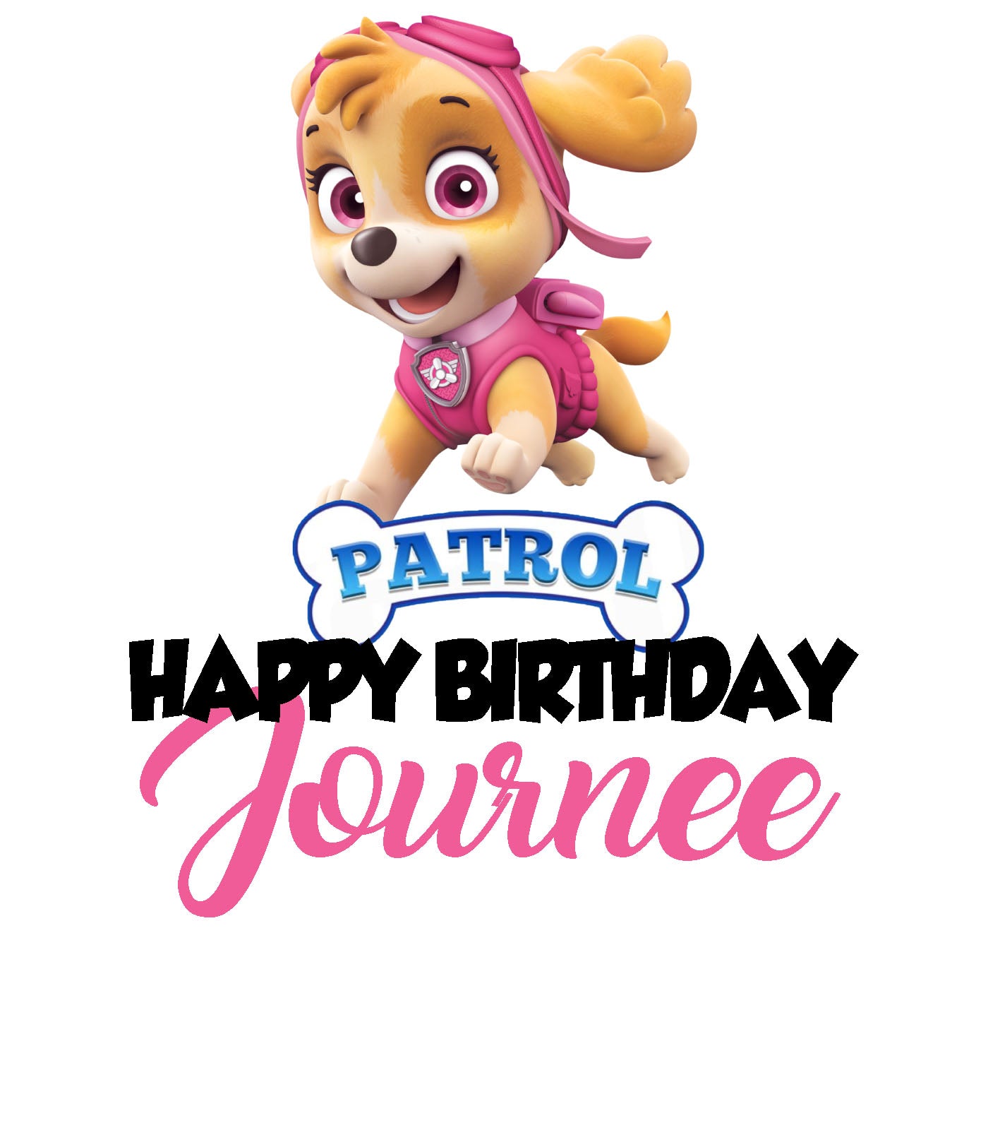 Paw Patrol Inspired Birthday Girl Shirt - Southern Grace Creations