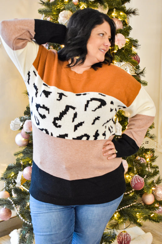 Warm Up Leopard Sweater - Southern Grace Creations