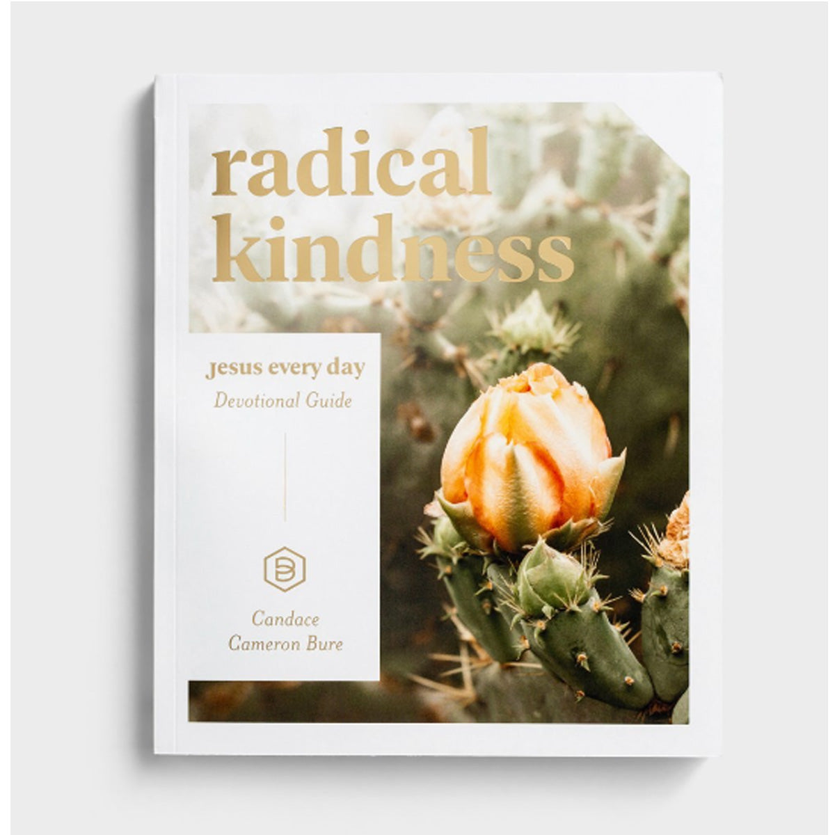 Radical Kindness Jesus Every Day Devotional Guide - Southern Grace Creations